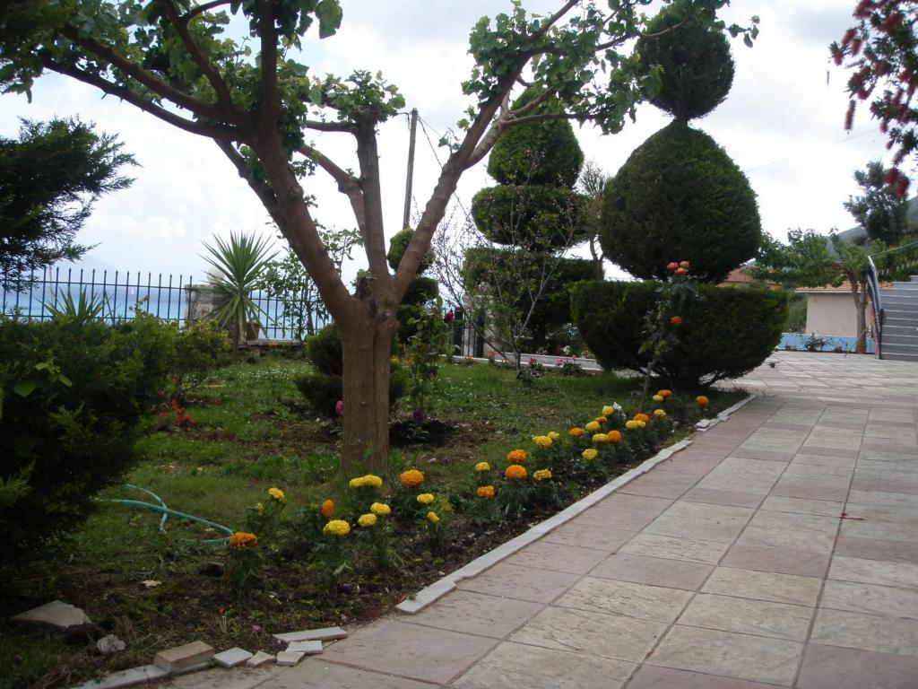 Katerina Lefkada Aparthotel Vasilikí Exteriör bild